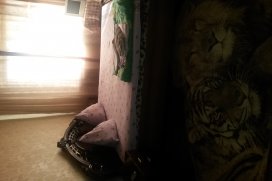 Квартира посуточно в Львове на ул. Урицкого, 23