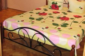 Квартира посуточно в Львове на ул. Мечникова, 8
